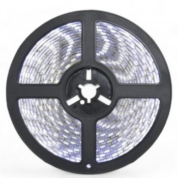 Fita LED 3528 IP65 5MT 12V Branco Frio 6500k